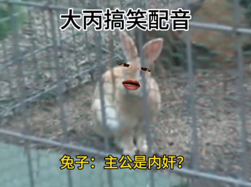 配图