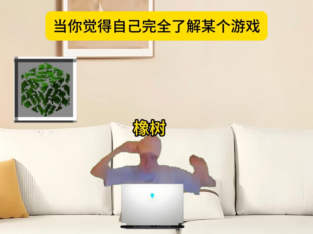 配图