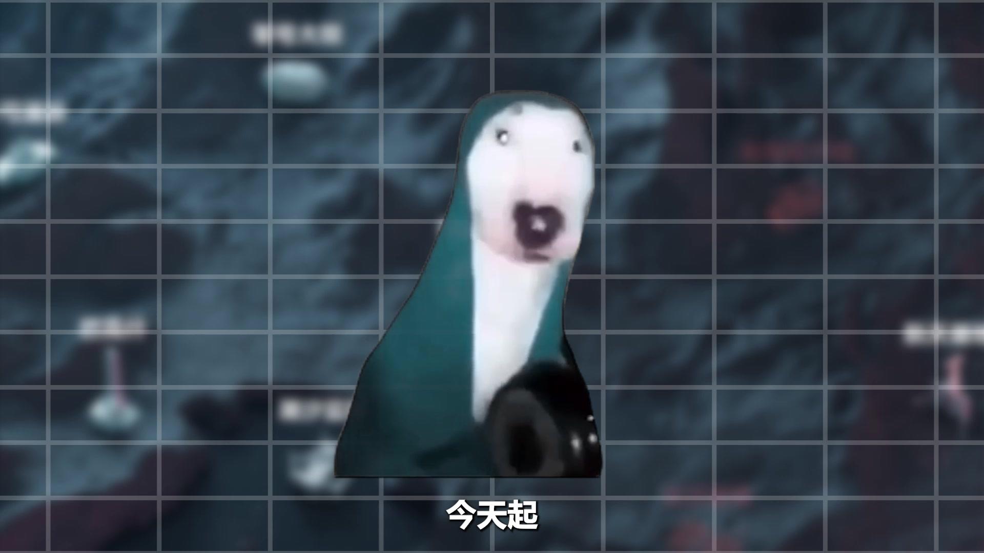 配图