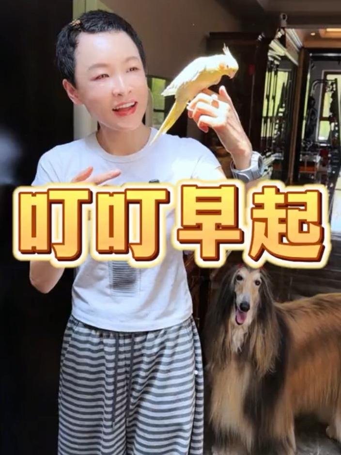 配图