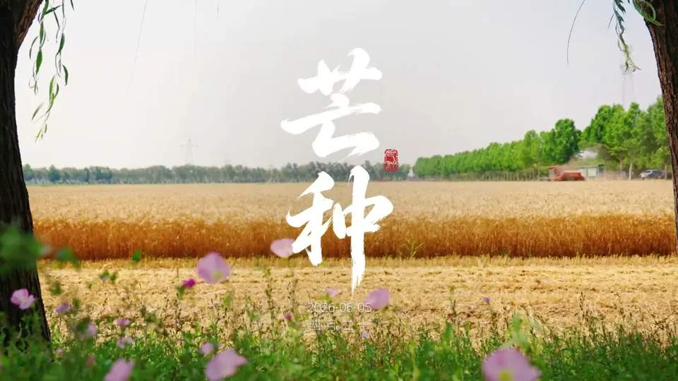 配图