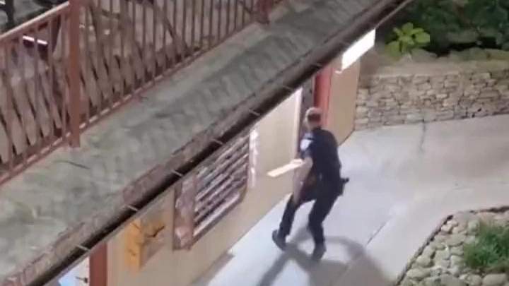 配图