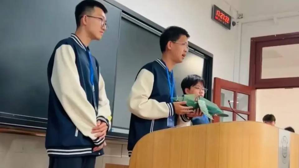 配图