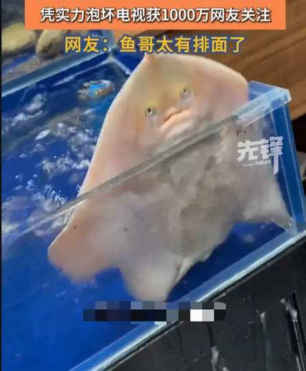 配图