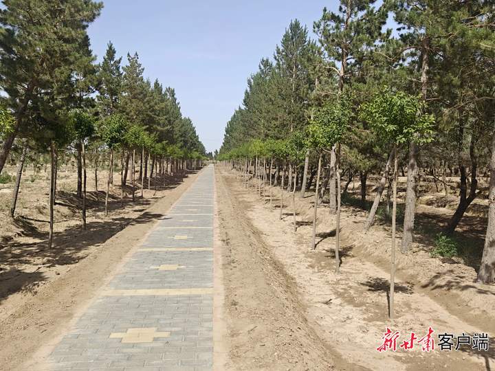 配图