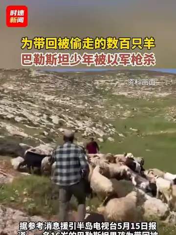 配图