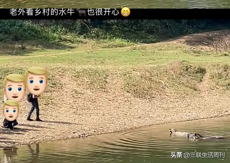 配图