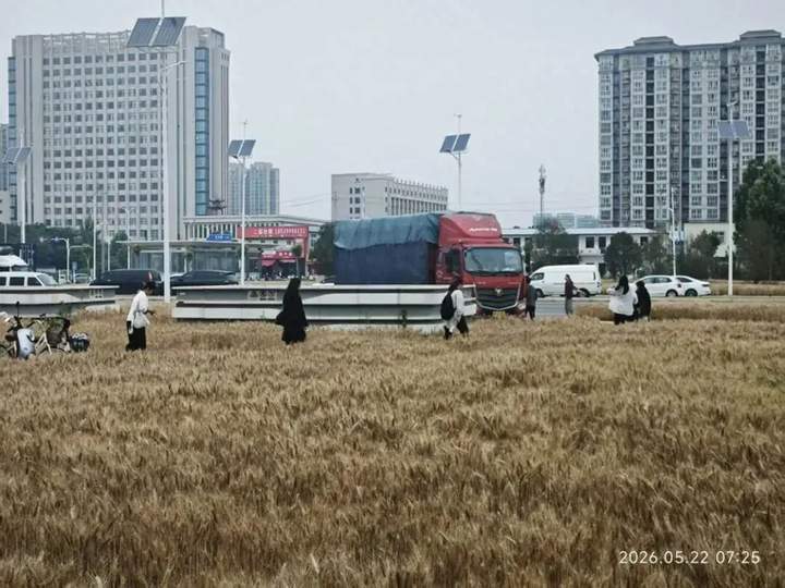 配图