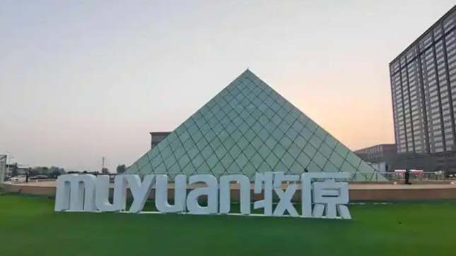 配图