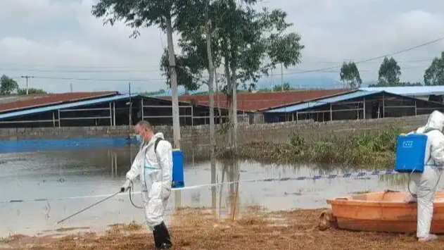 配图