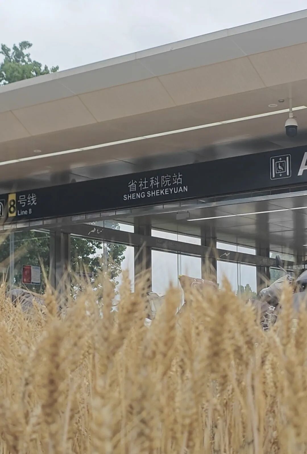 配图