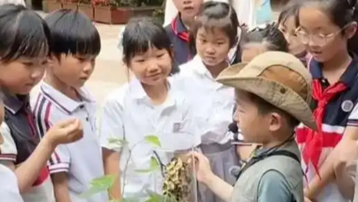 配图