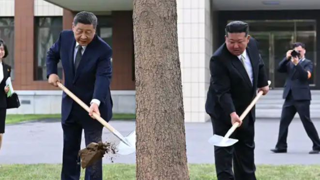 配图