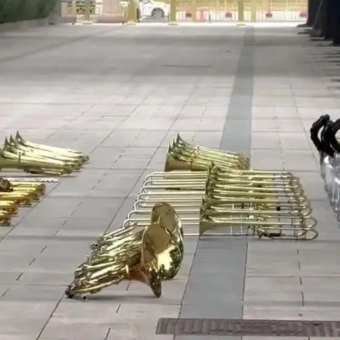 配图