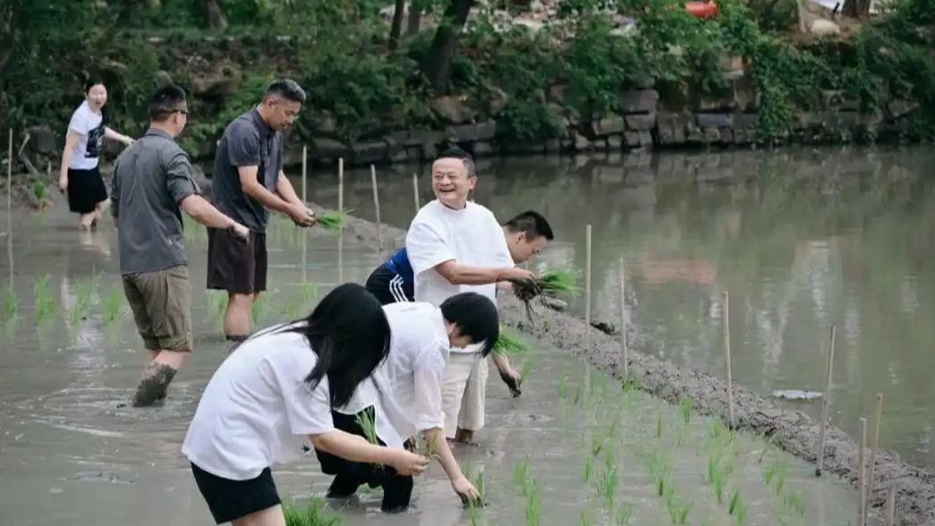 配图