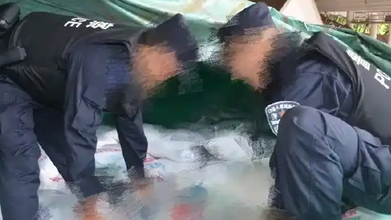 配图