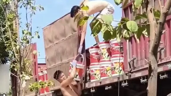 配图