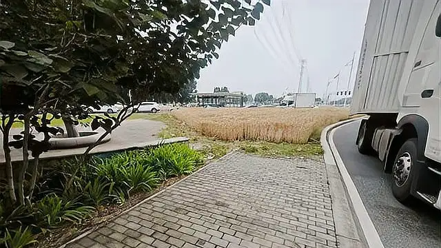 配图