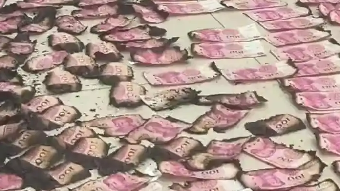 配图