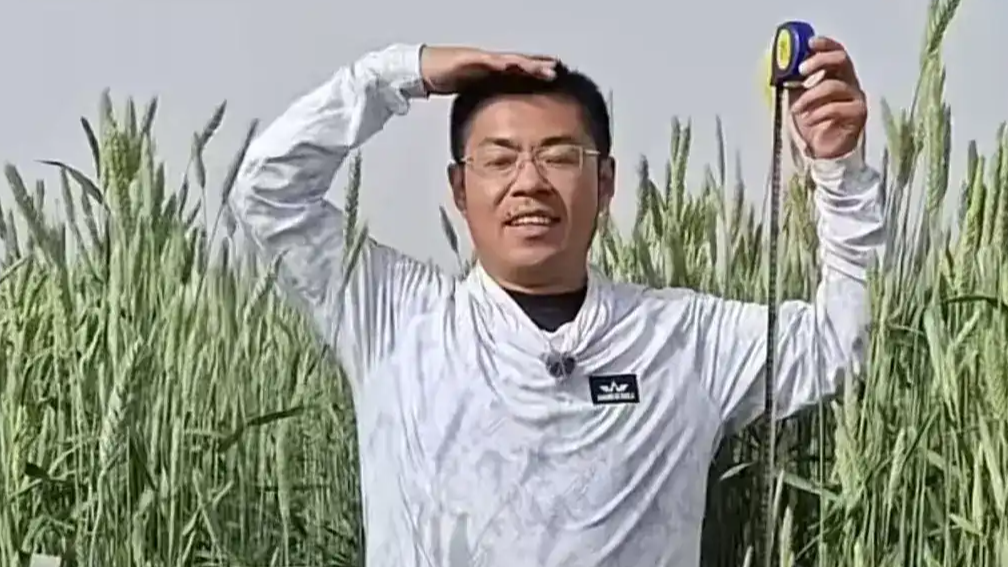 配图
