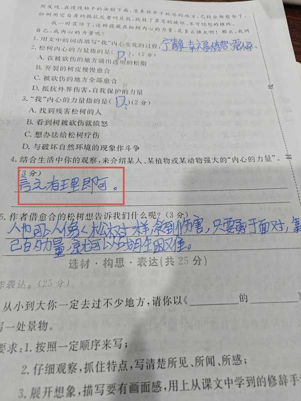 配图