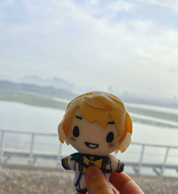 配图