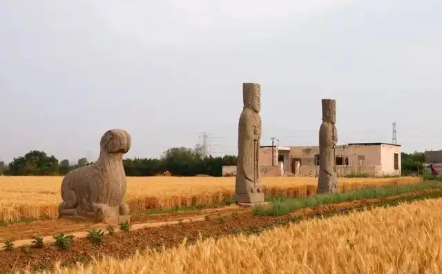 配图